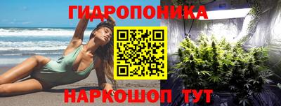 индика Пугачёв