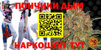 индика Пугачёв