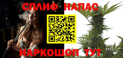 индика Пугачёв