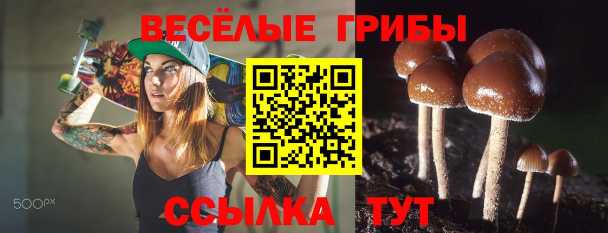 Советский  Галлюциногенные грибы мицелий  Вход с VPN  Галлюциногенные грибы прущие грибы 